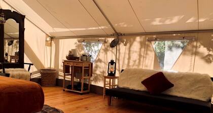 Glamping! Luxury Tent Explorer in Idleyld Park, OR