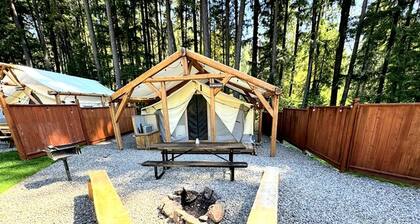 Glamping! Luxury Family Size Tent, Douglas County, Oregon