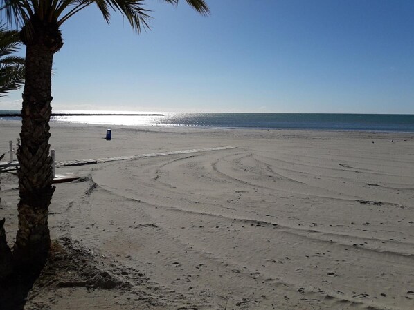 A beach with footprints, a palm tree, and a clear sky.