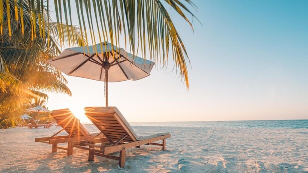 Una playa con sillones de madera y una palmera.