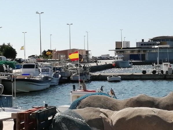 A marina with boats docked, a flag, and buildings in the background.