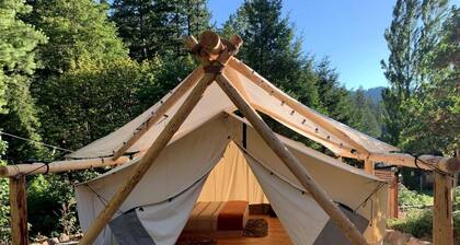 Tranquil Umpqua National Forest Accommodation Ideal for a Getaway in Oregon