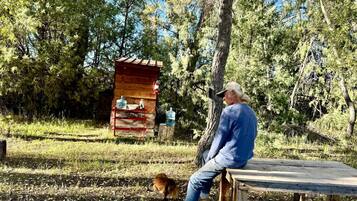 A man sitting on a bench in a wooded area with a small wooden structure in the background.