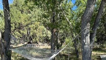 A hammock between trees in a wooded area.