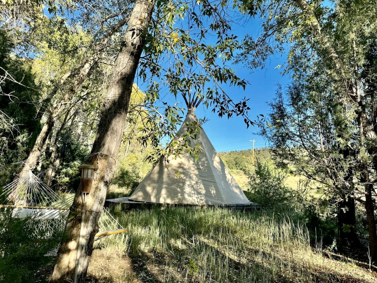 A conical tent in a forested area with a hammock and bird feeder nearby.