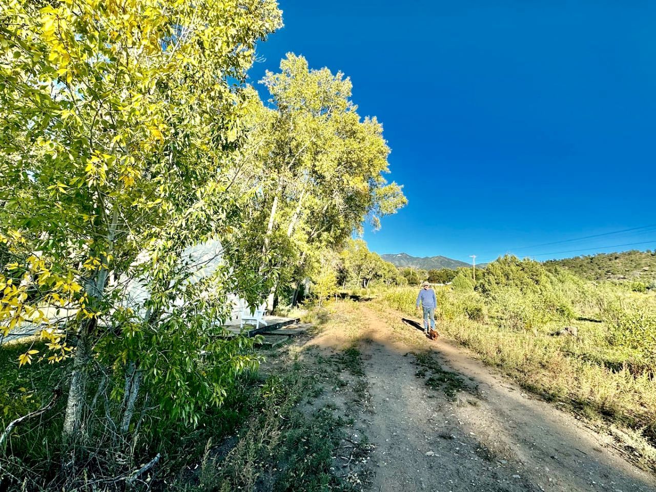 A dirt path leading through a rural area with trees and a clear blue sky.