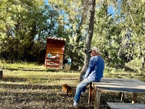 A man sitting on a bench in a wooded area with a small wooden structure in the background.
