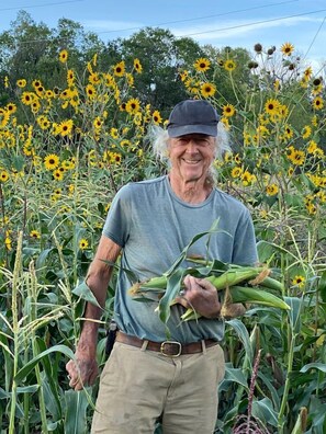 Eine Person steht in einem Feld und hält Maiskolben, umgeben von Sonnenblumen.