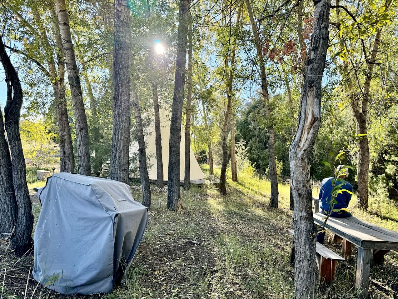 A forested campsite with a covered tent and a picnic table.