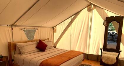 Gorgeous Glamping Tent with a Fire Pit near Umpqua National Forest, Oregon
