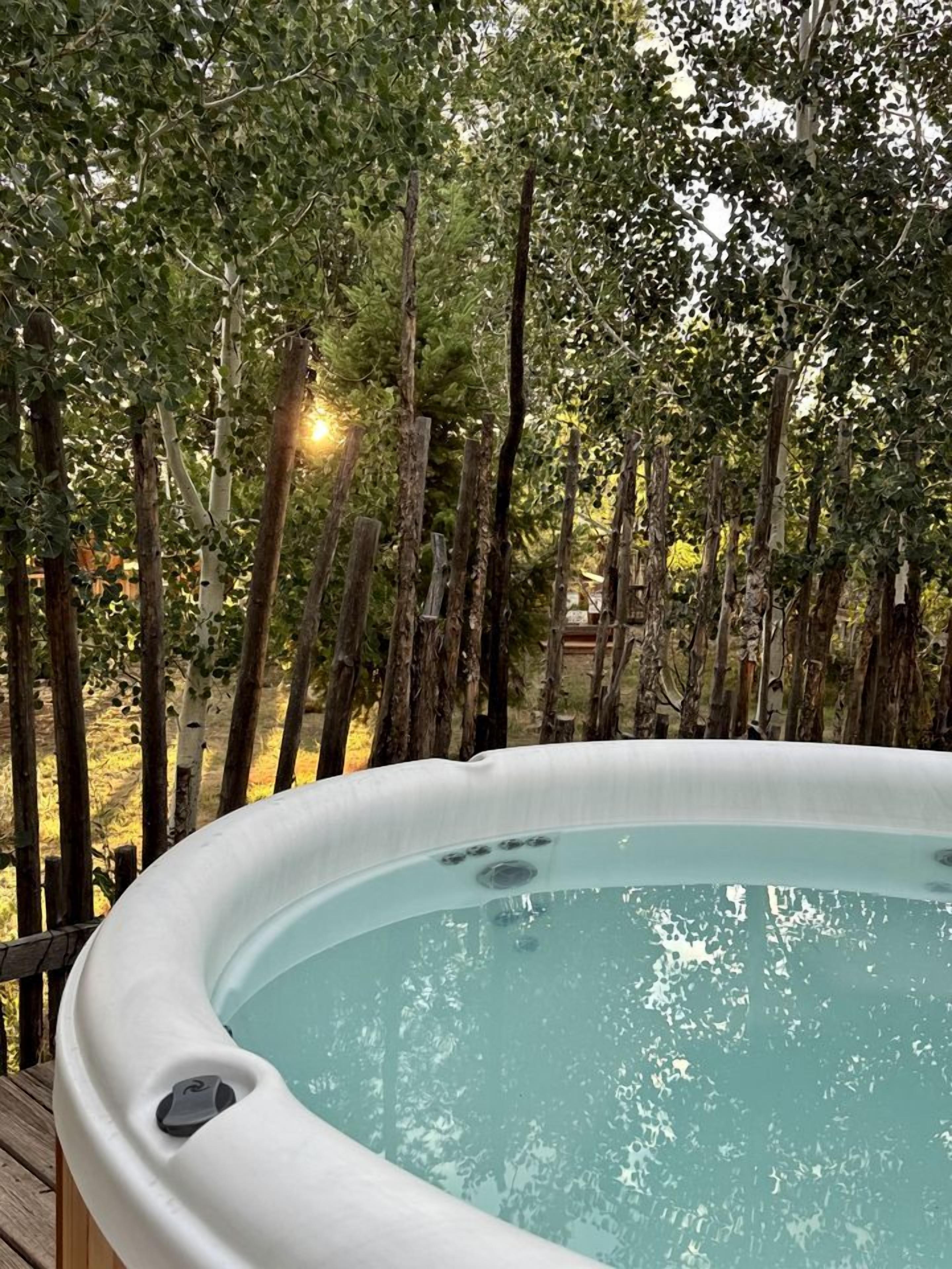 A hot tub surrounded by trees.