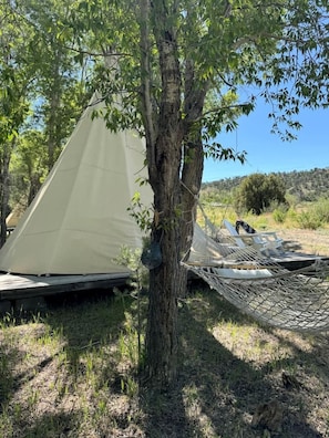 Uma tenda e uma rede montadas sob uma árvore, com uma vista desobstruída da paisagem ao redor.