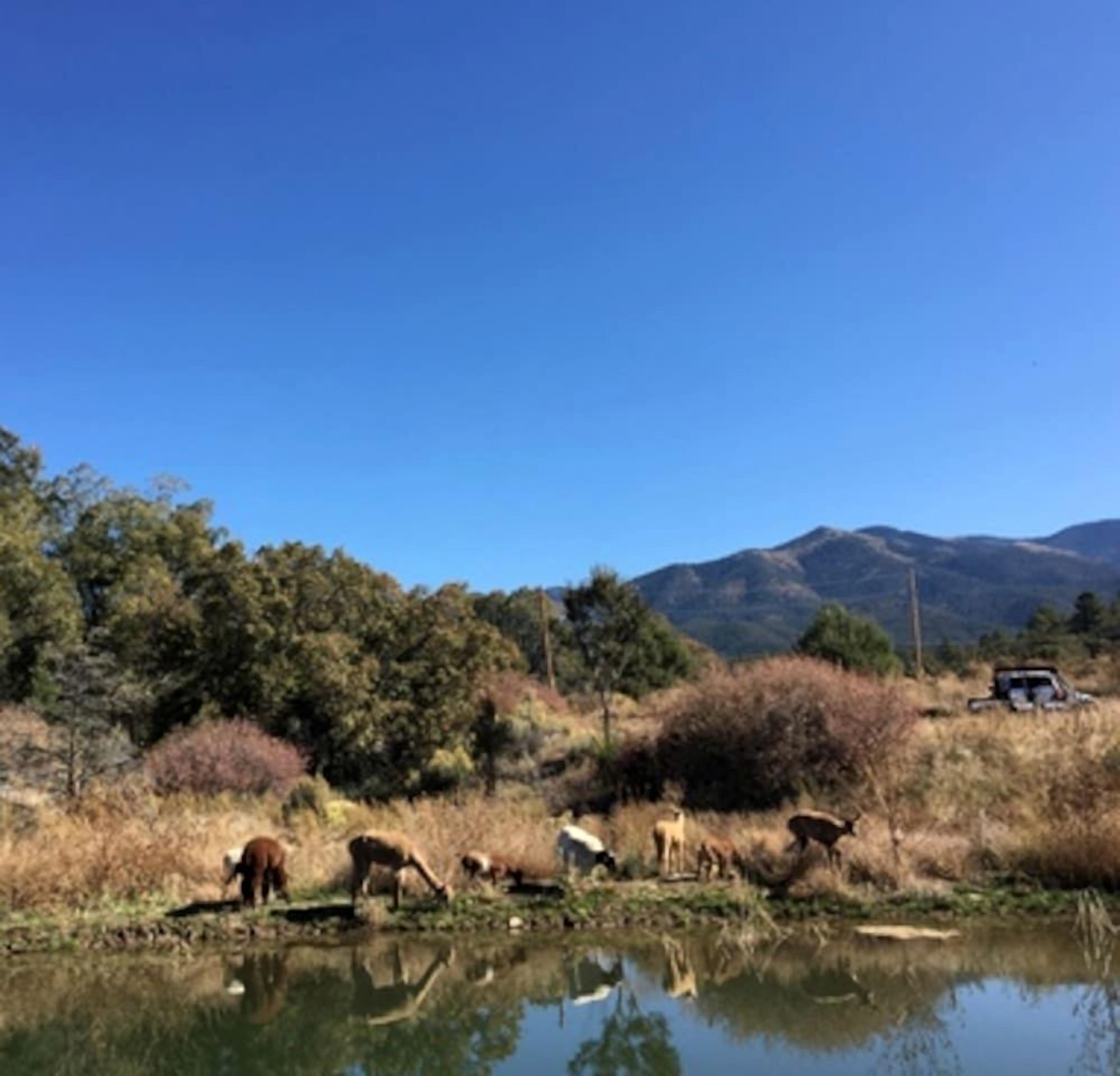 A natural landscape with a body of water, trees, and mountains in the background.