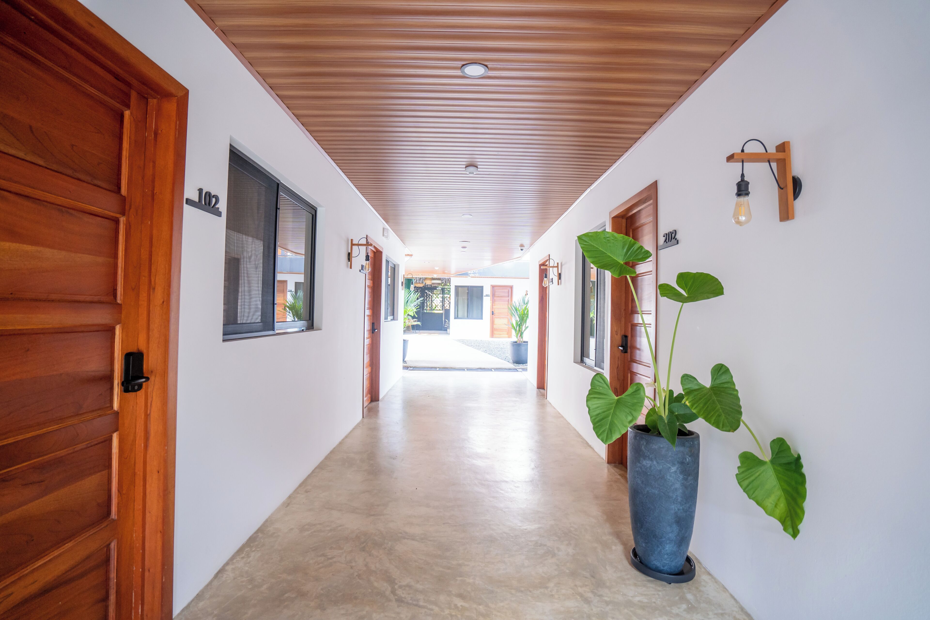 Un pasillo con puertas de madera, una planta en maceta y lámparas fijadas a la pared.