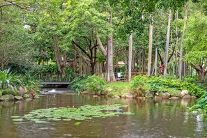 Apartment | Unterkunftsgelände