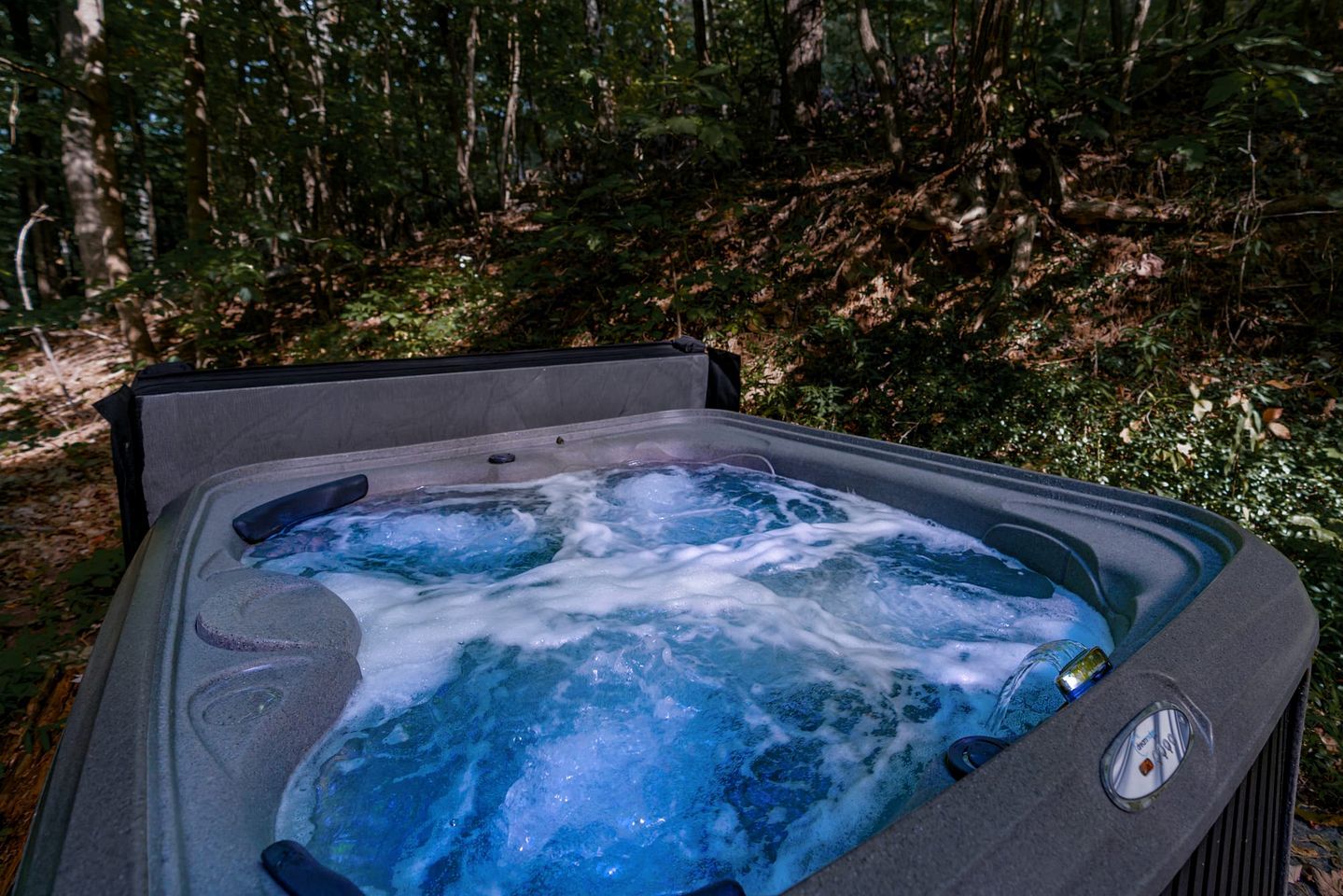 Un bain à remous installé à l’extérieur, entouré d’arbres.