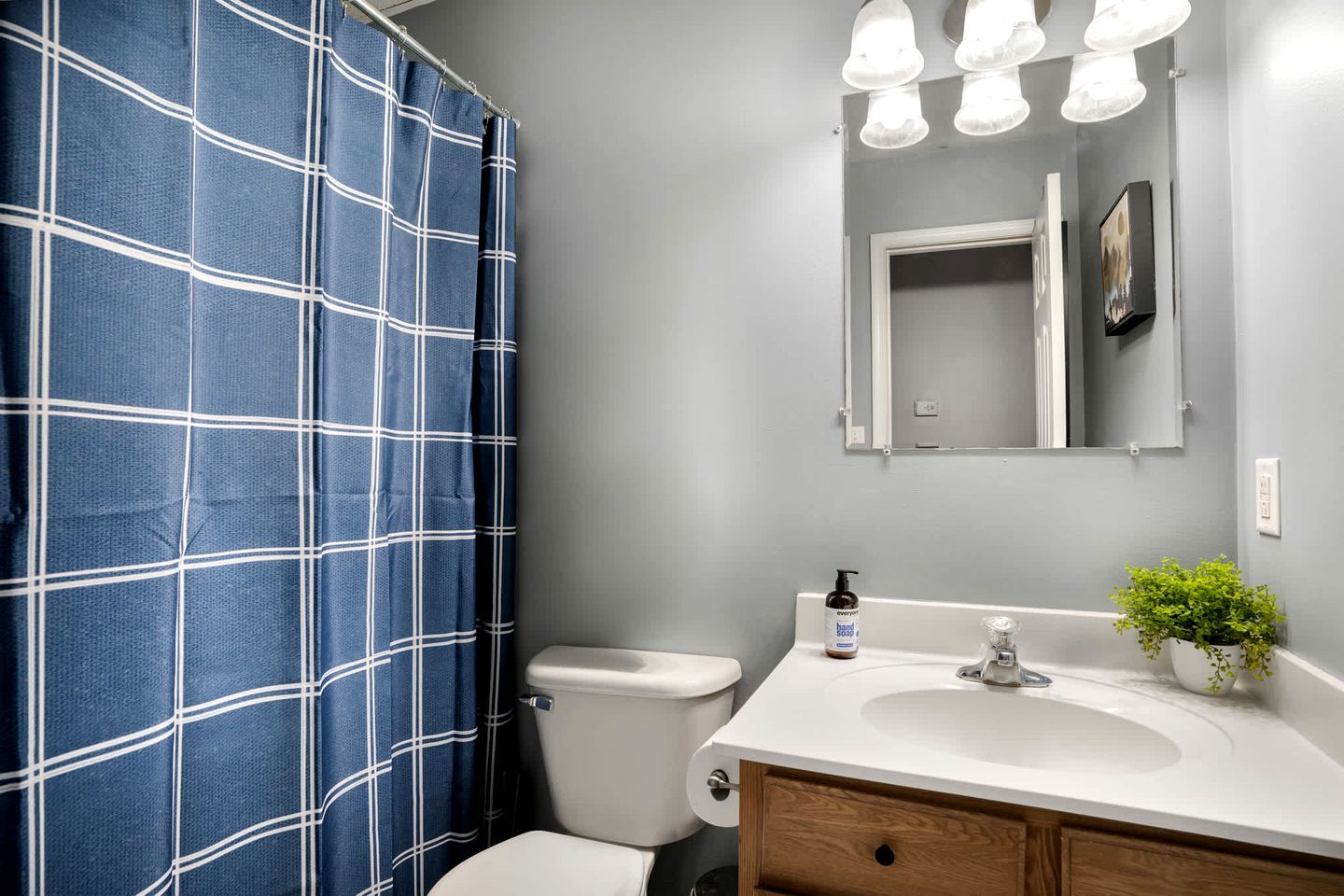 A bathroom with a white sink, a mirror, a shower curtain, and a potted plant.