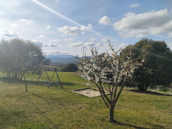 A grassy outdoor area with a swing set and a tree with white blossoms.