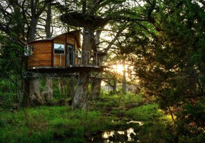 Miscellaneous - Romantic Getaways in Fully-Equipped Tree House Rental in Spicewood, Texas (Spicewood)