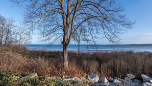A tree-lined coastal view with a clear sky and a distant pier. - Holiday Apartment 'Sonnendüne Im Dünenblick' with Sea View, Balcony & Wi-Fi (Ostseebad Boltenhagen)