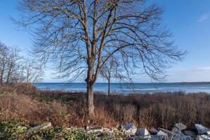 Vista costera con arboles, cielo despejado y un muelle distante.