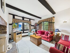 تلفزيون، مدفأة