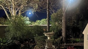 Un jardin nocturne avec une fontaine, des arbres et un sentier.