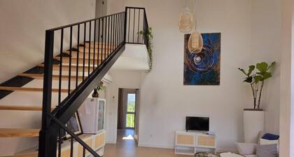 Tranquility and views of the river Minho - Pet friendly