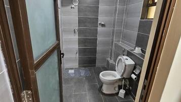 Un bagno compatto con doccia, servizi igienici e specchio.