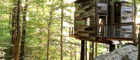 Una cabaña de madera elevada sobre pilares en un bosque.