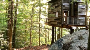 A wooden cabin elevated on stilts in a forest. - Secluded Tree House in the Forest near the Appalachian Mountains, Georgia (Flintstone)