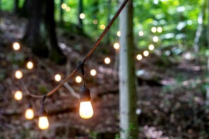 A string of lights in a forest setting.