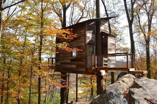 Secluded Tree House in the Forest near the Appalachian Mountains, Georgia