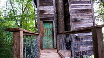 A wooden suspension bridge leading to a rustic cabin with a green door, surrounded by dense foliage.