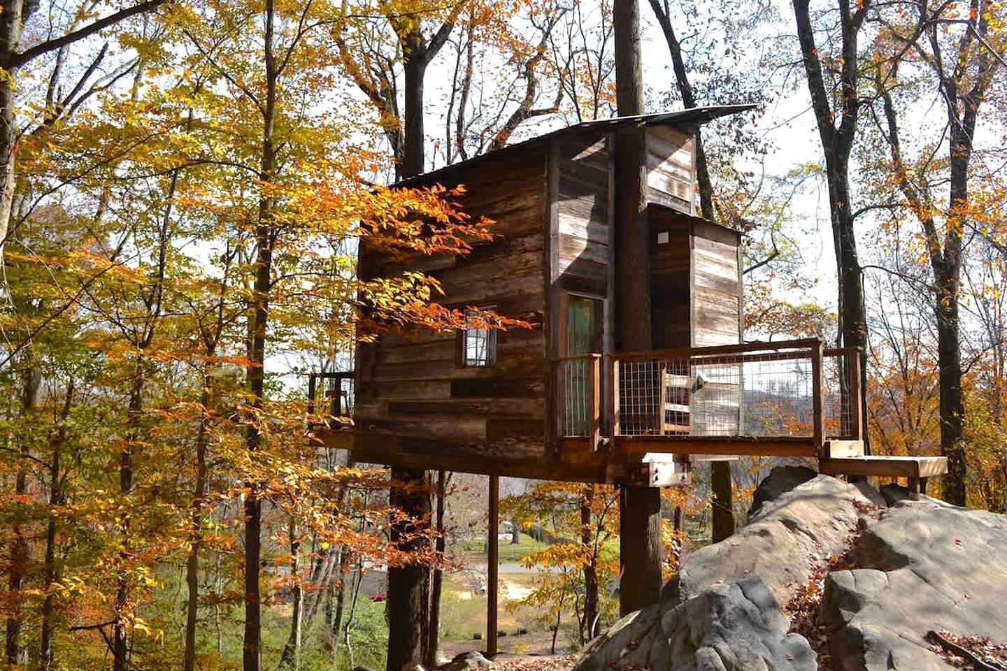 A wooden treehouse with a balcony, surrounded by autumn foliage.