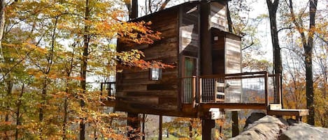 Une cabane en bois perchée dans un arbre, dotée d’un balcon et entourée du feuillage automnal.