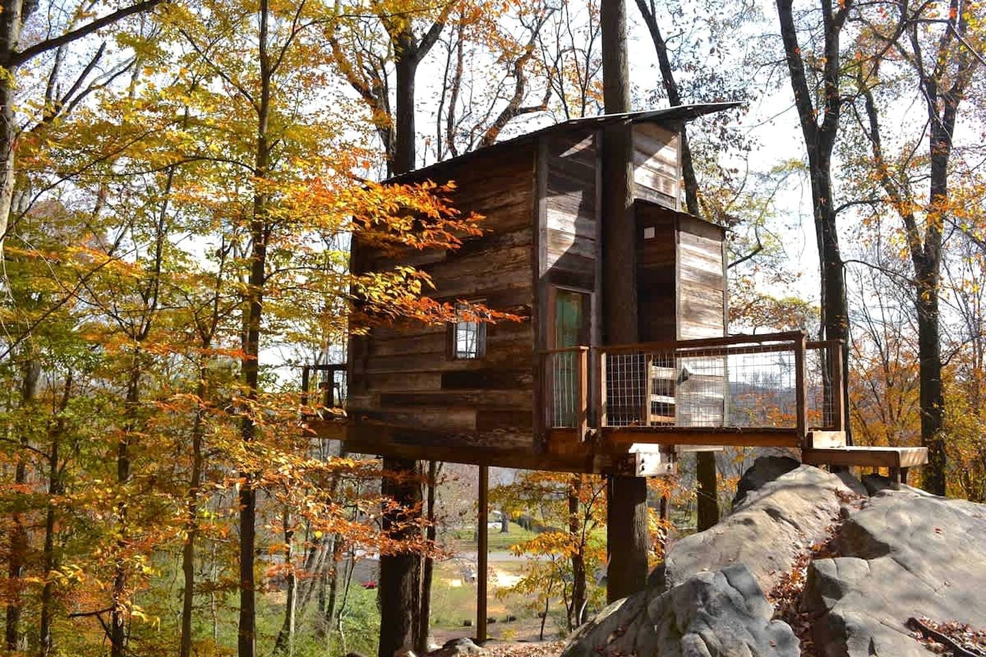 Una casa de árbol de madera con balcón, rodeada de follaje otoñal.