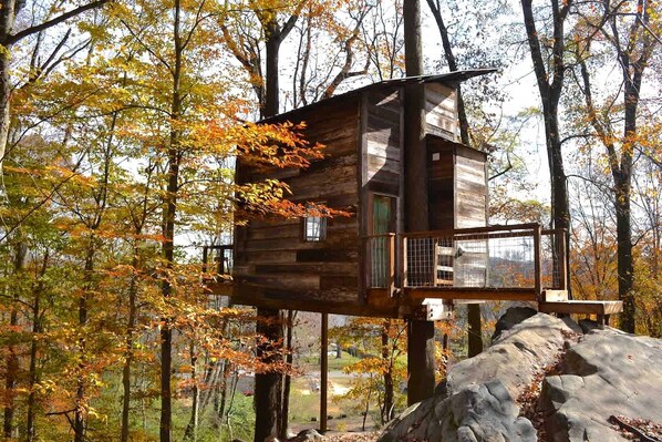 A wooden treehouse with a balcony, surrounded by autumn foliage.