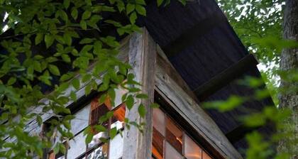 Secluded Tree House in the Forest near the Appalachian Mountains, Georgia