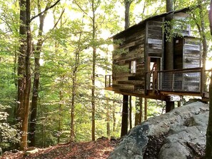 A wooden cabin elevated on stilts in a forest. - Secluded Tree House in the Forest near the Appalachian Mountains, Georgia (Flintstone)