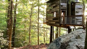 A wooden cabin elevated on stilts in a forest. - Secluded Tree House in the Forest near the Appalachian Mountains, Georgia (Flintstone)