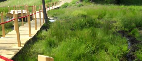 Área da propriedade