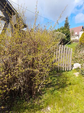 Àrea exterior de l'allotjament