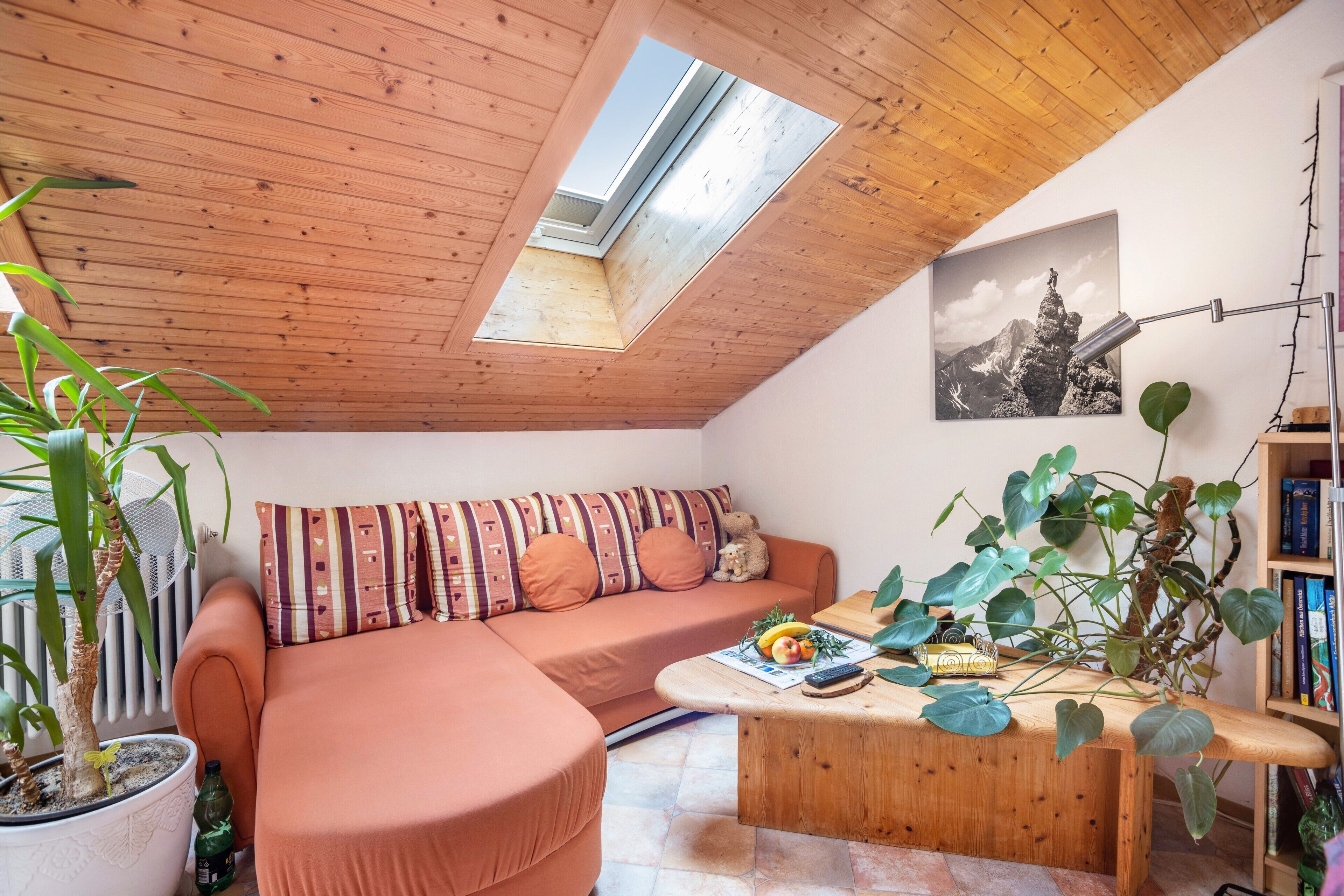 Tv, dvd-afspiller, stereoanlæg