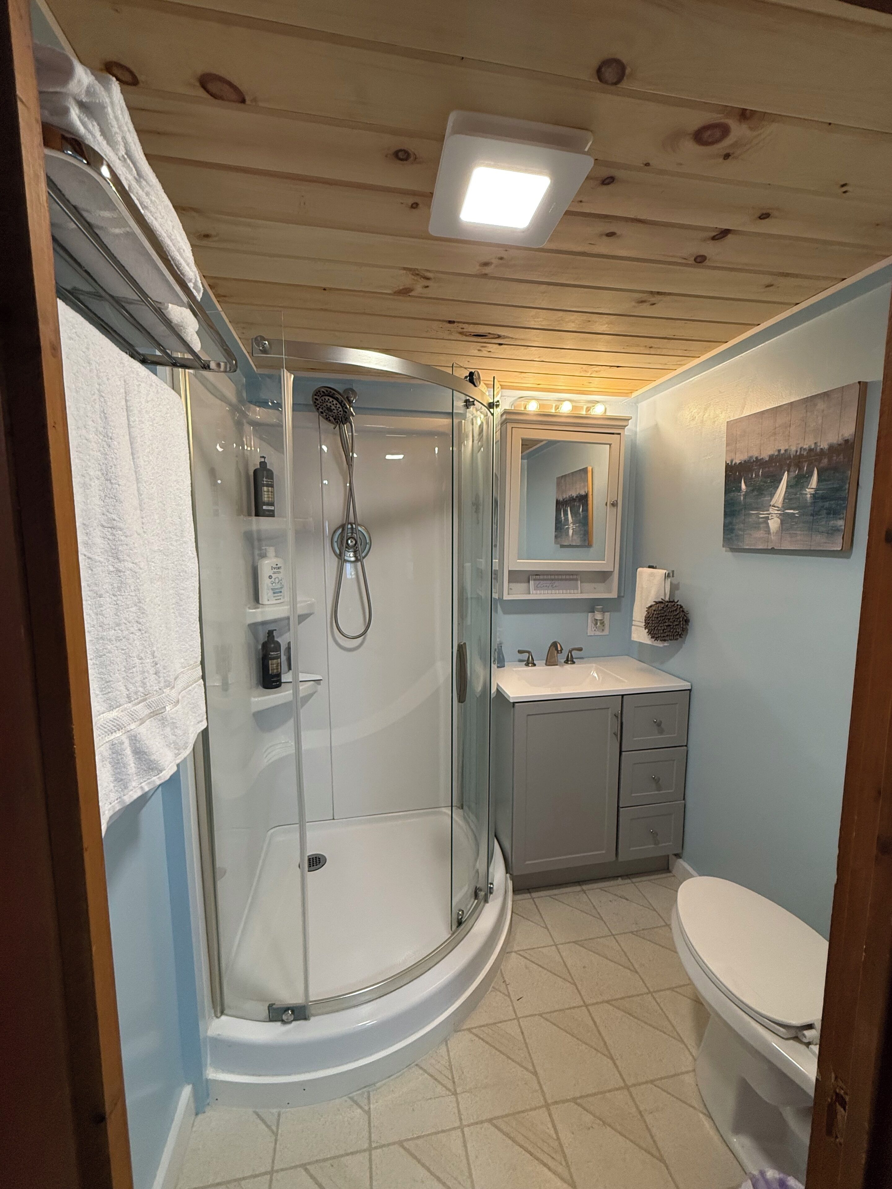 Hair dryer, towels, soap, shampoo