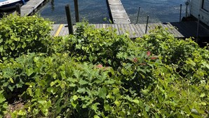 A dock with boats, a white building with a balcony, and a forested shoreline. - Sebago Lake studio-style condo with enclosed sunroom and sunset views (Standish)