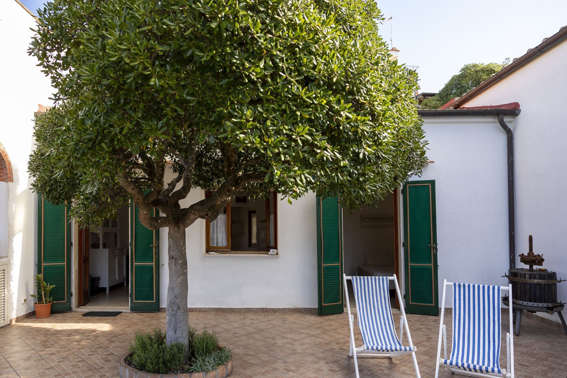 Un patio con un árbol, dos sillas y un edificio con persianas verdes.