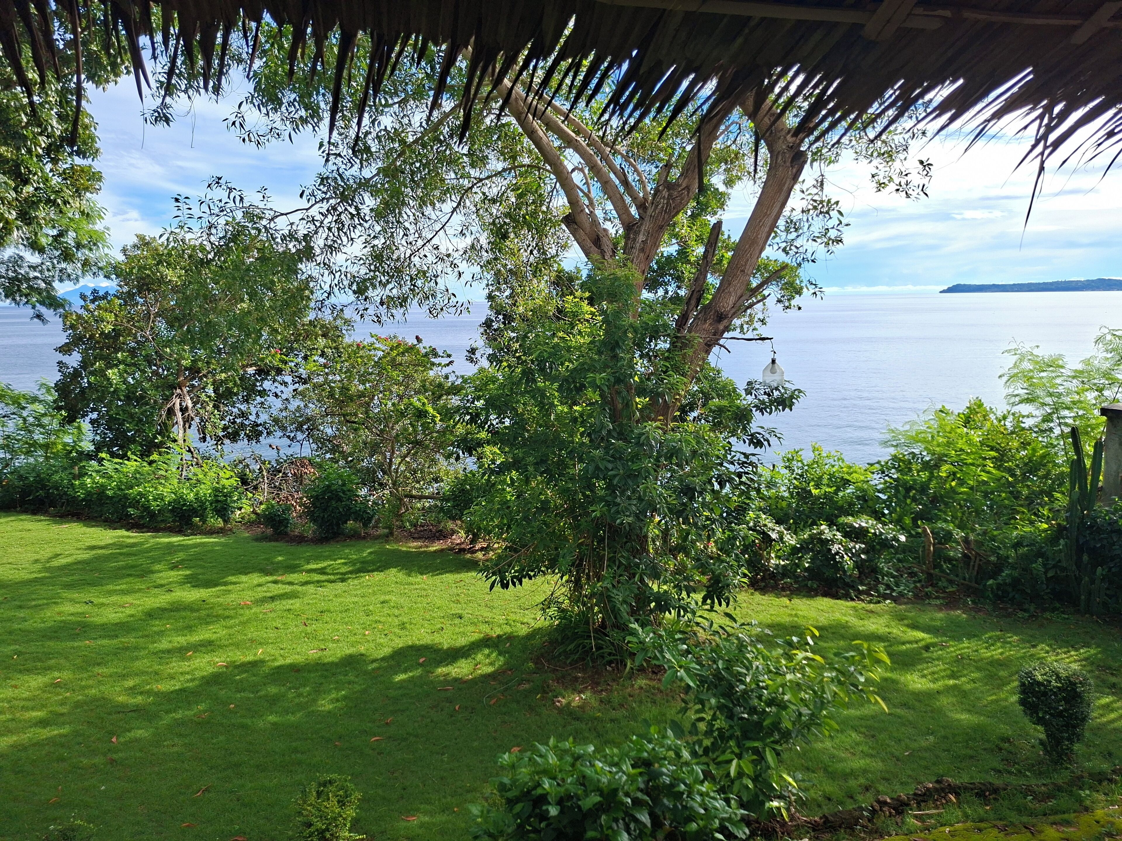 Un jardín exuberante con una estructura de techo de paja, un césped cuidado y vista al mar.
