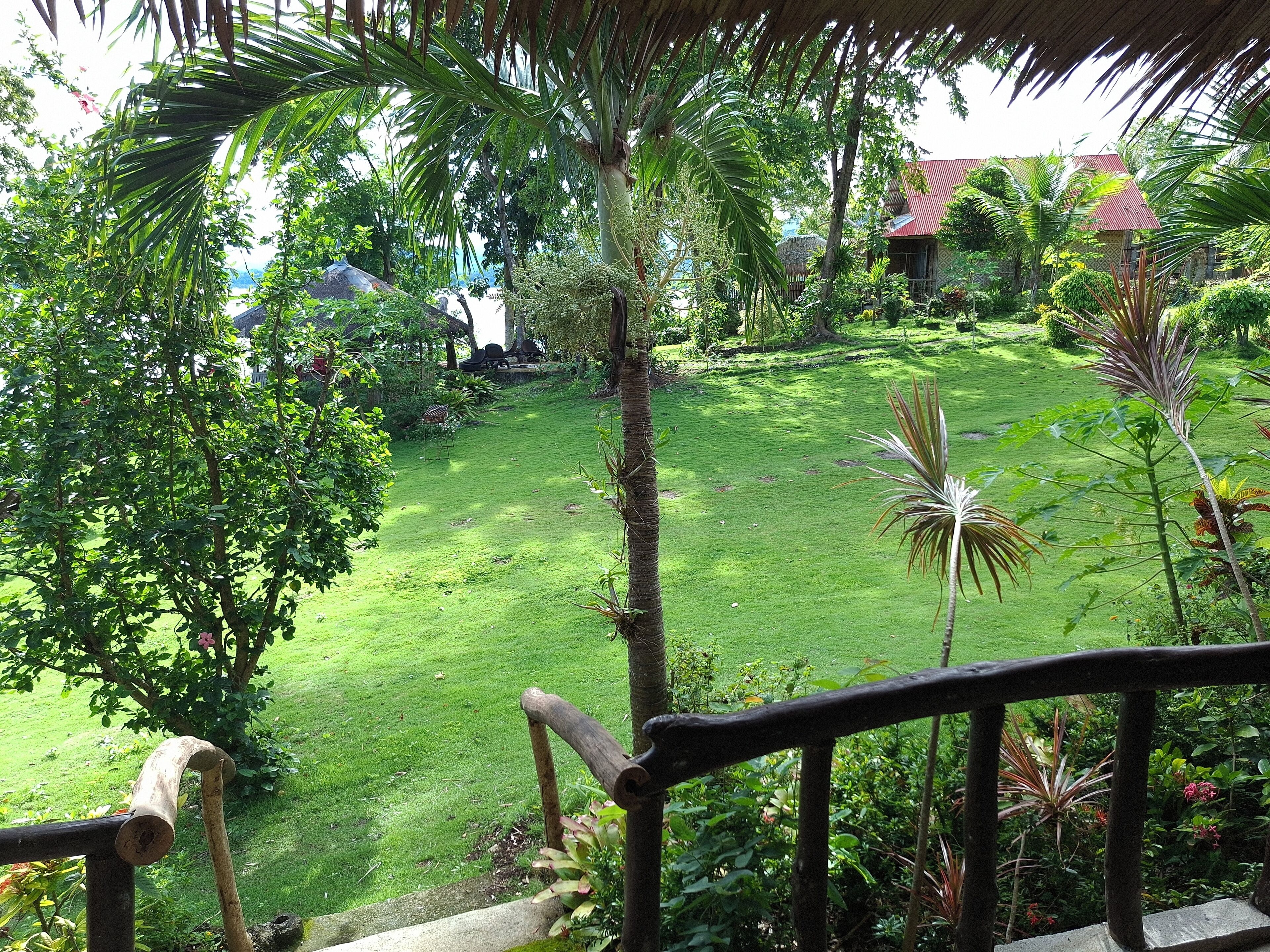 A lush garden with a wooden fence, a thatched-roof structure, and a red-roofed building in the background.