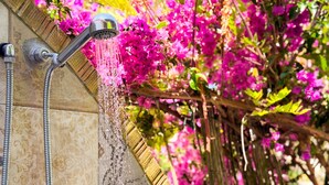 A shower with a hose, a tiled wall, and pink flowers in the background.